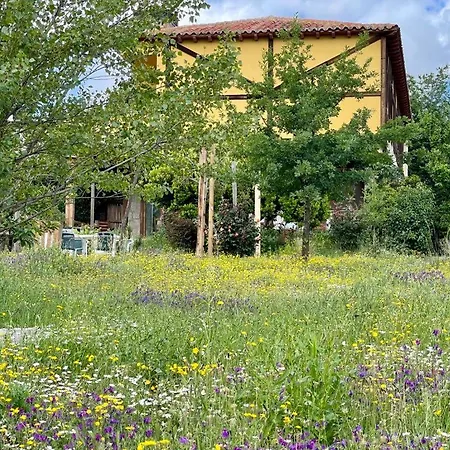 Gospodarstwo wiejskie Hospederia La Serrota Narros del Puerto