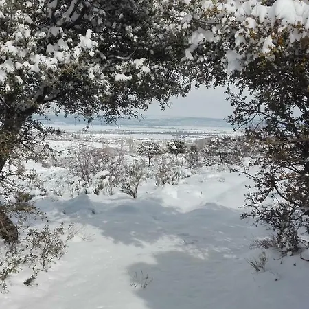 Hospederia La Serrota Gospodarstwo wiejskie Narros del Puerto