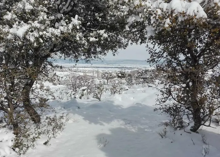 Hospederia La Serrota منزل ريفي Narros del Puerto